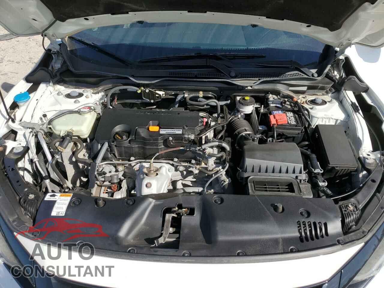 HONDA CIVIC 2019 - 2HGFC2F81KH557932