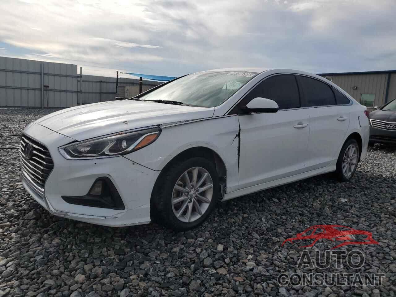 HYUNDAI SONATA 2019 - 5NPE24AF6KH817456