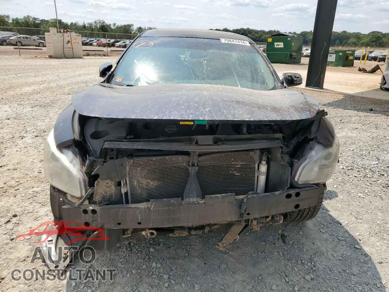 NISSAN MAXIMA 2009 - 1N4AA51E69C842402