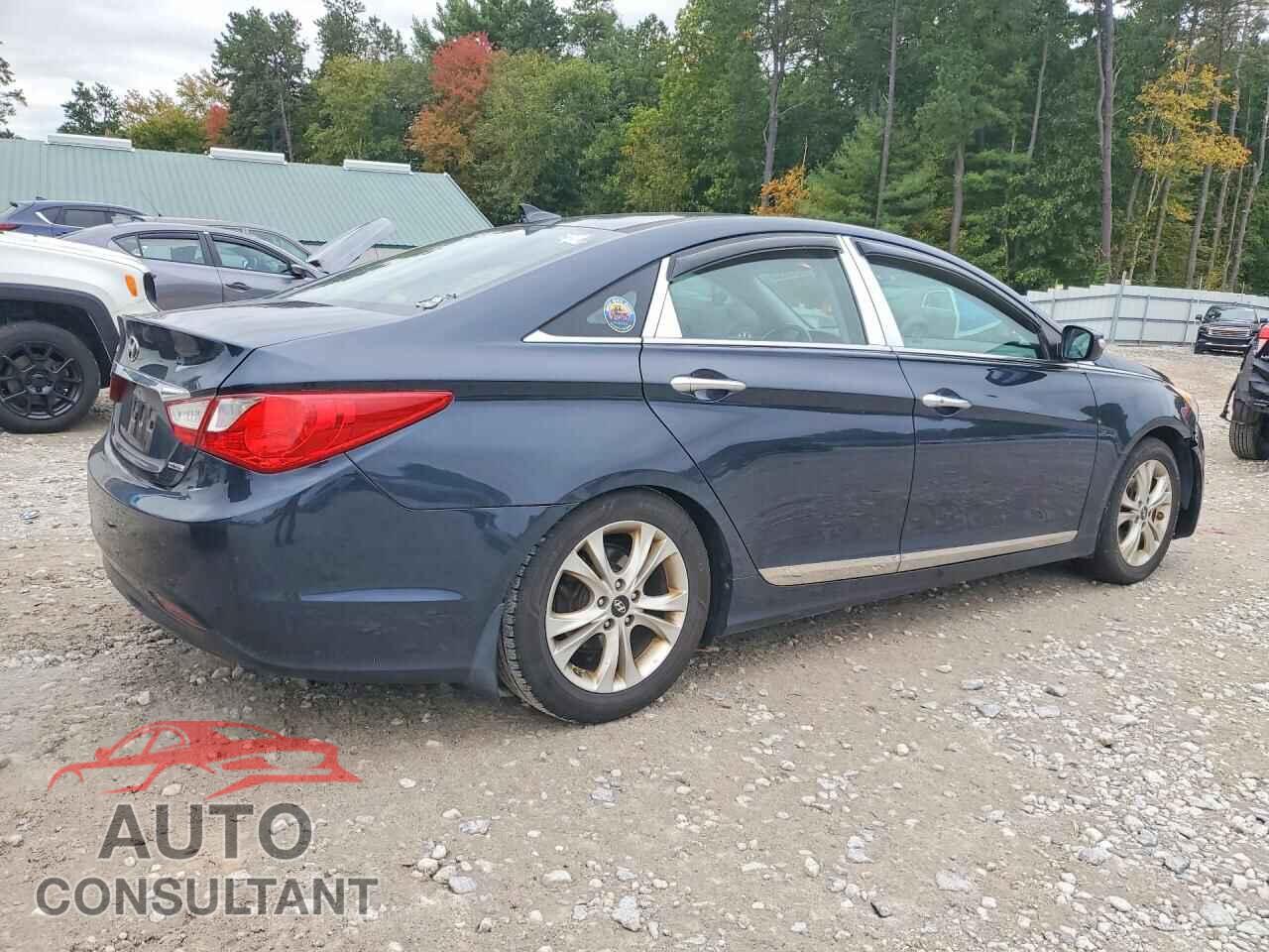 HYUNDAI SONATA 2013 - 5NPEC4ACXDH596014
