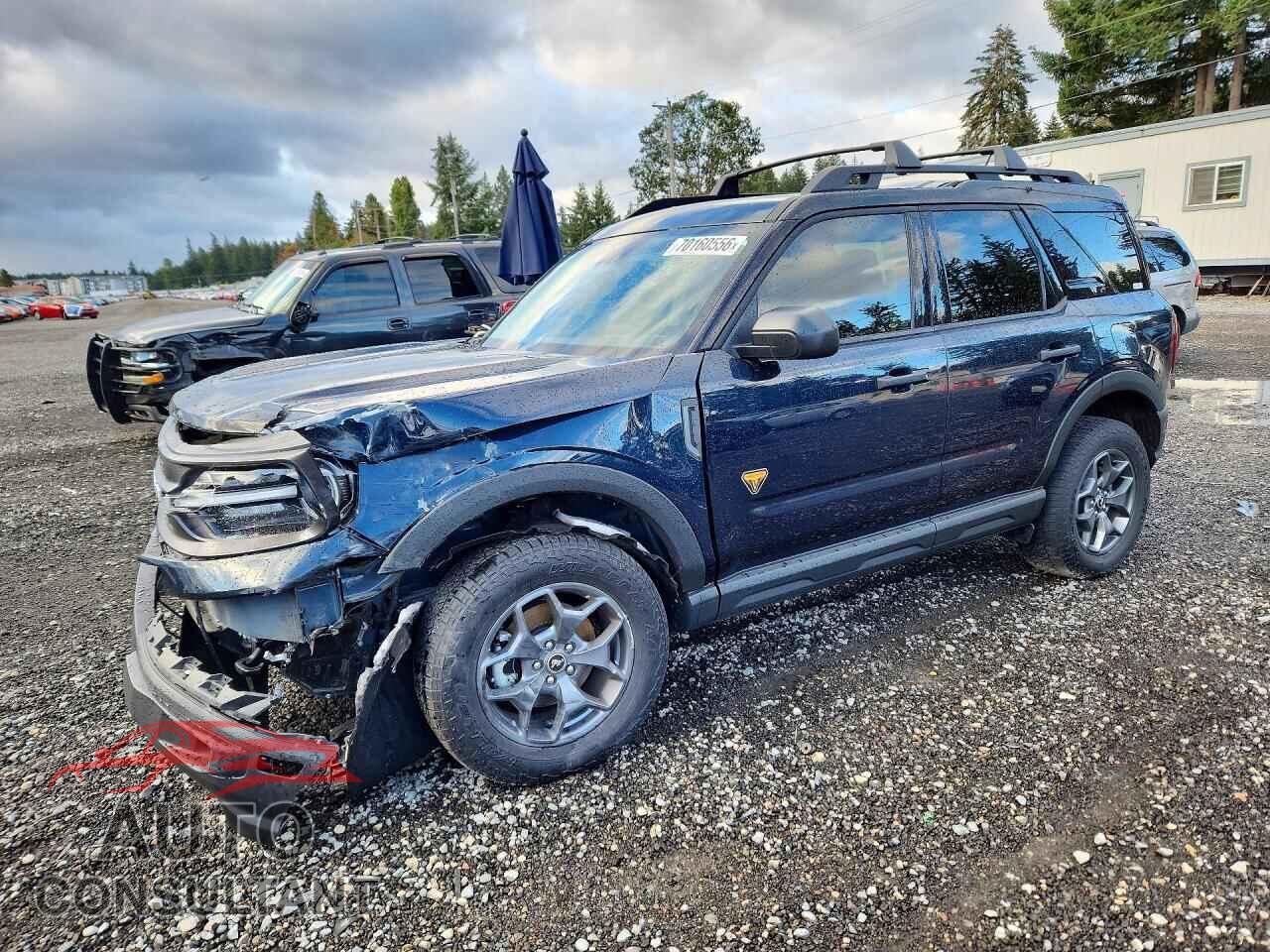 FORD BRONCO 2021 - 3FMCR9D9XMRA66735