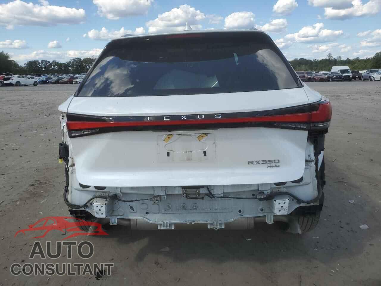 LEXUS RX350 2023 - 2T2BAMCA5PC015039