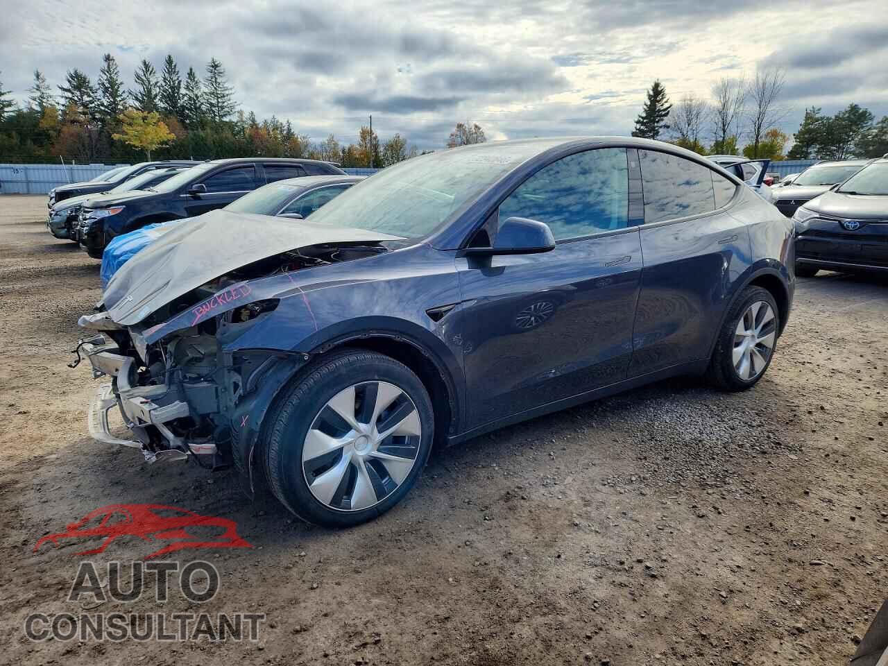 TESLA MODEL Y 2022 - 7SAYGAEE7NF520183