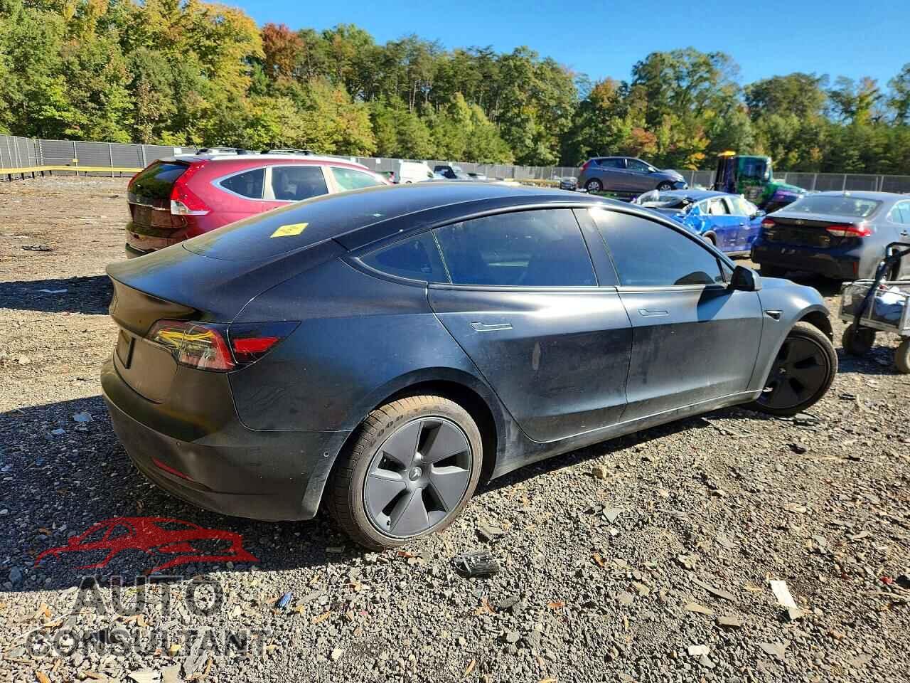 TESLA MODEL 3 2022 - 5YJ3E1EA4NF341853