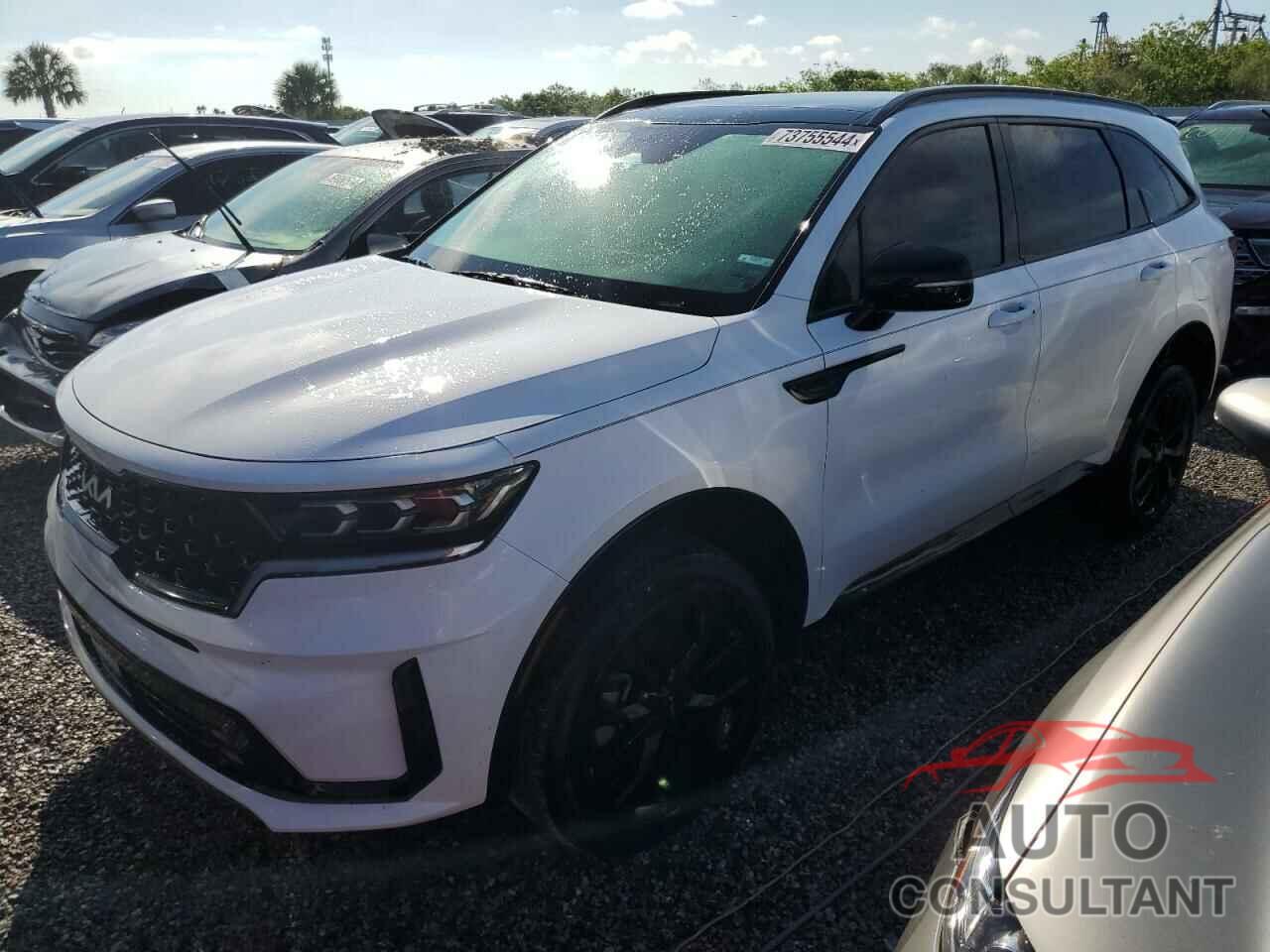 KIA SORENTO 2023 - 5XYRKDLFXPG244350