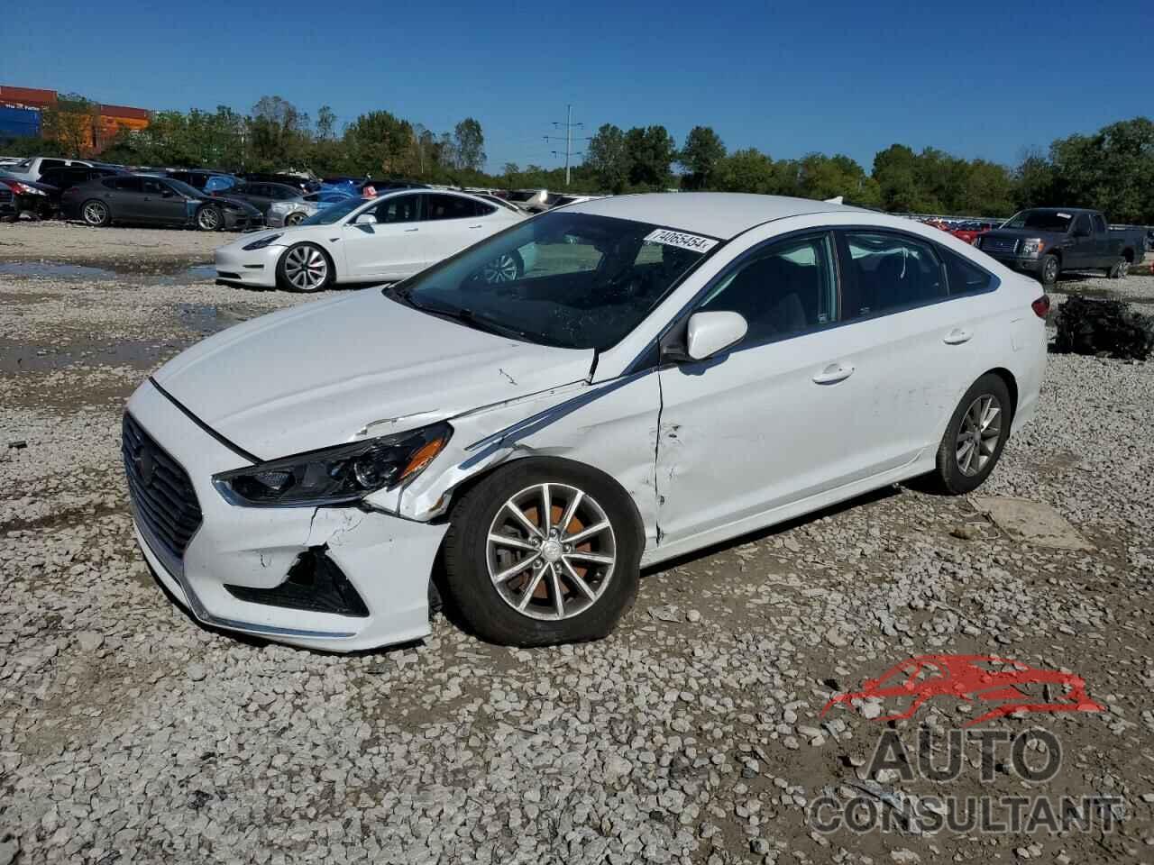 HYUNDAI SONATA 2019 - 5NPE24AF8KH740573