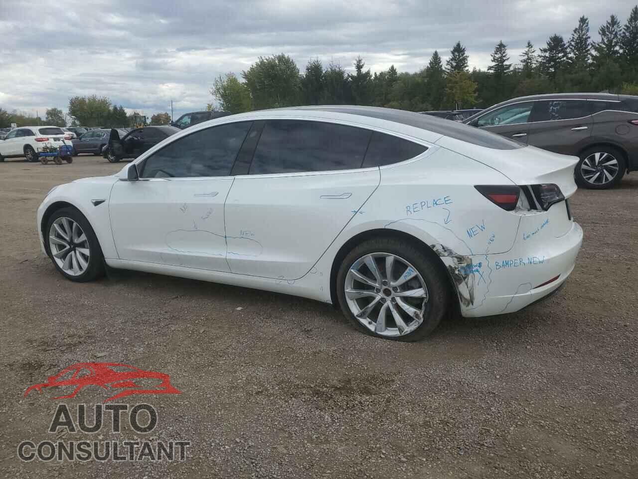 TESLA MODEL 3 2020 - 5YJ3E1EA4LF609474