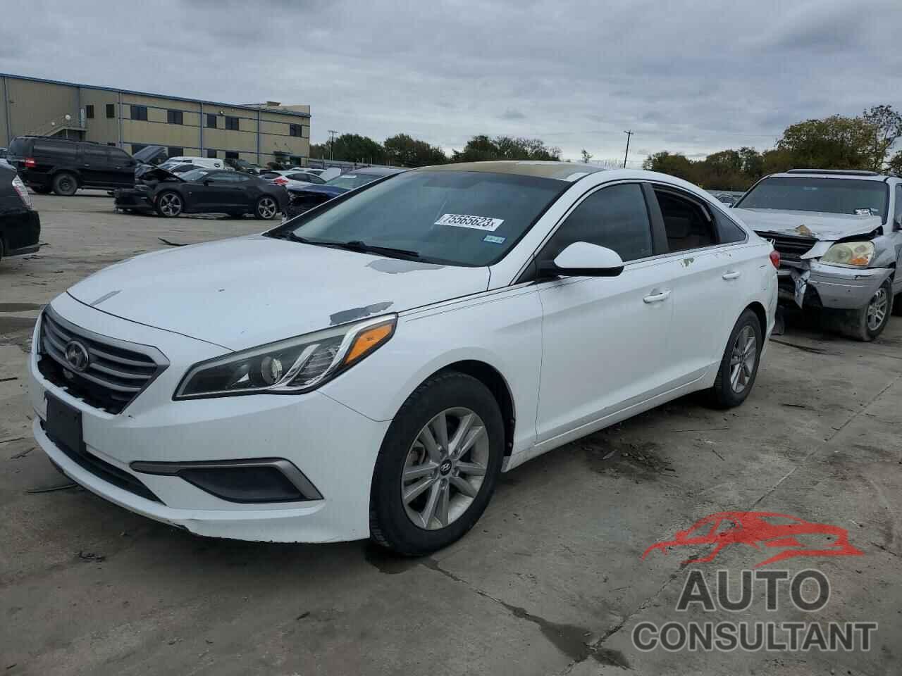 HYUNDAI SONATA 2016 - 5NPE24AF4GH261476