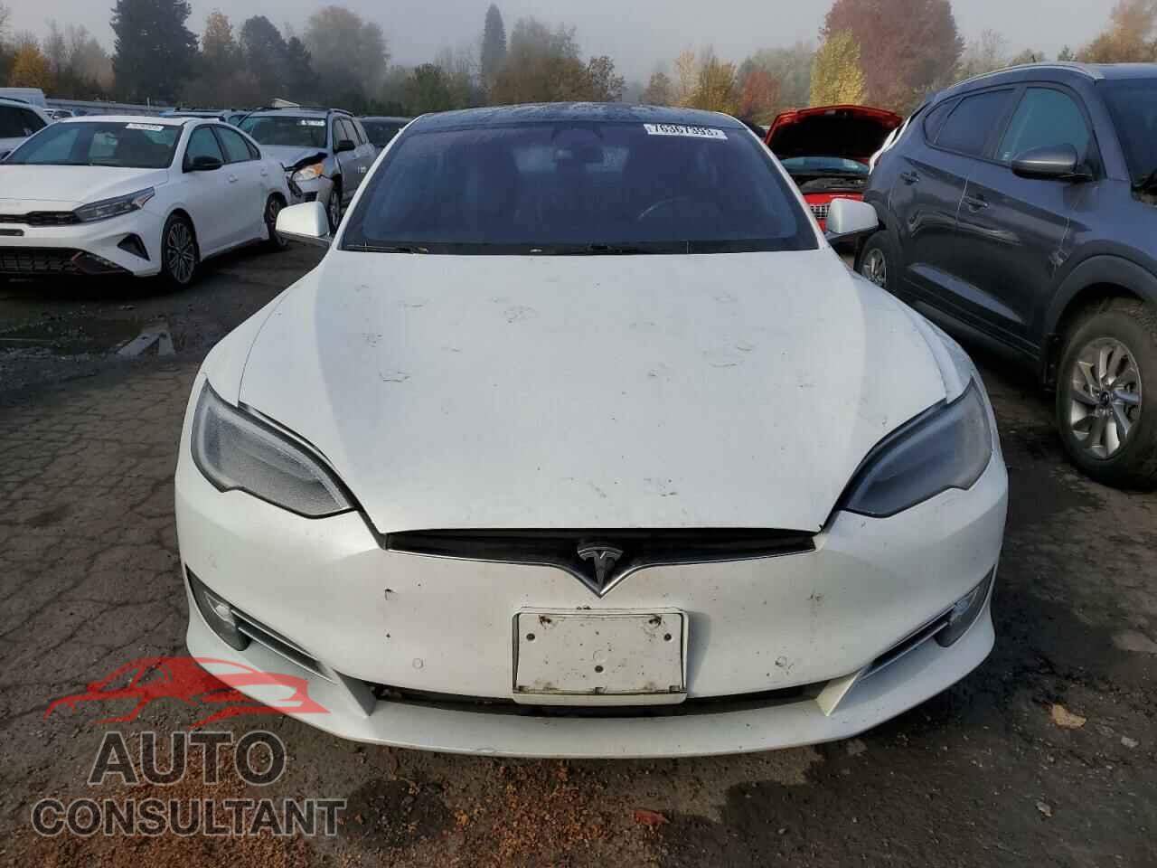 TESLA MODEL S 2019 - 5YJSA1E49KF347760