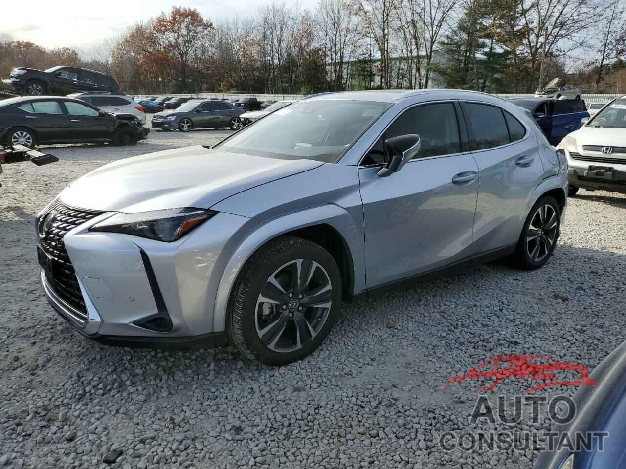 LEXUS UX 250H PR 2024 - JTHP9JBH5R2071983