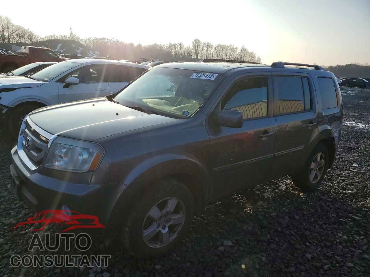 HONDA PILOT 2011 - 5FNYF4H56BB065884