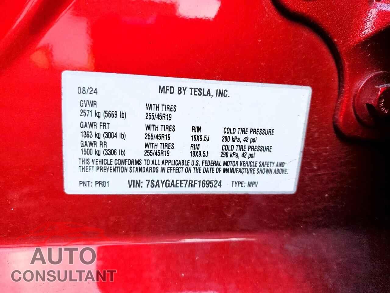 TESLA MODEL Y 2024 - 7SAYGAEE7RF169524