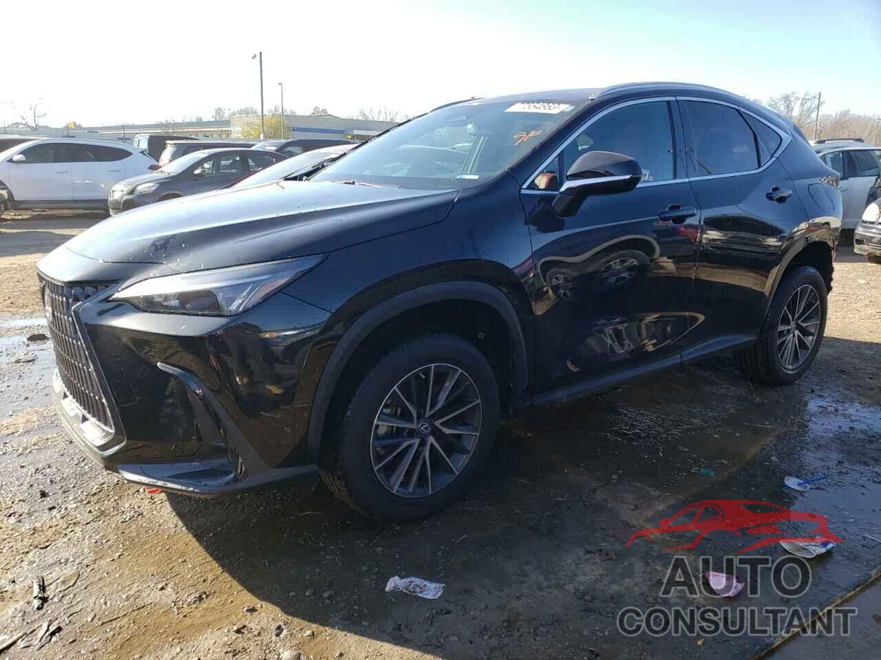 LEXUS NX 250 2023 - 2T2ADCEZ8PC002897