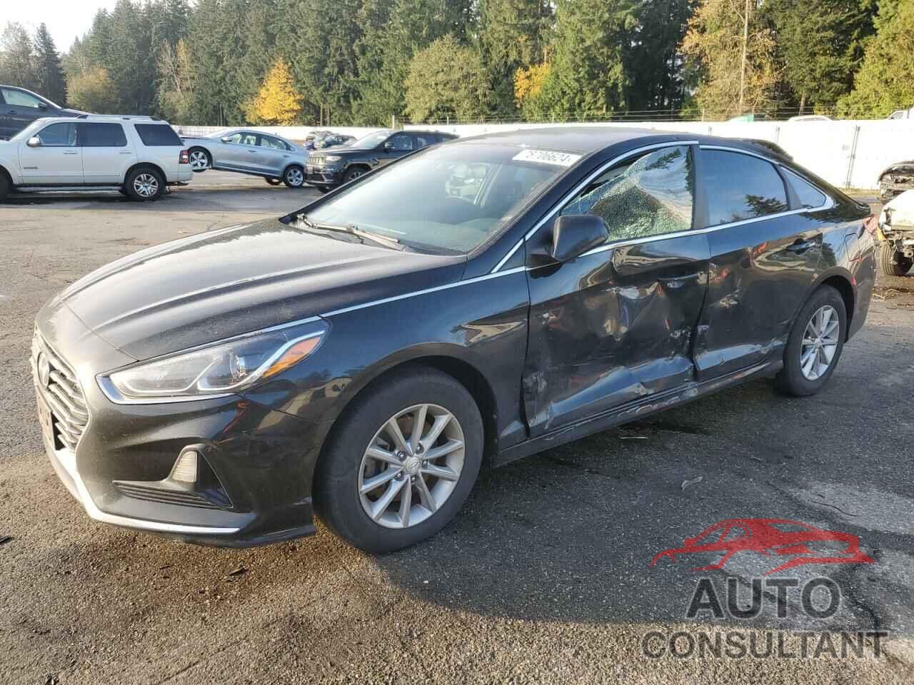 HYUNDAI SONATA 2019 - 5NPE24AF2KH792121