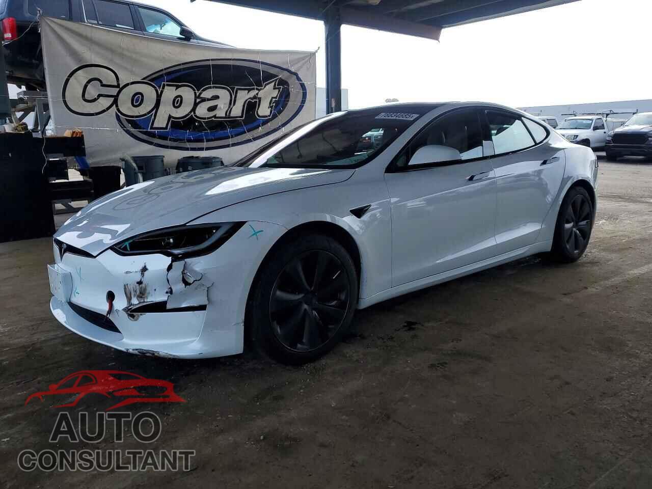 TESLA MODEL S 2024 - 5YJSA1E69RF542222