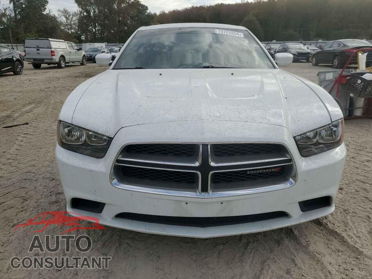 DODGE CHARGER 2014 - 2C3CDXBG1EH217147