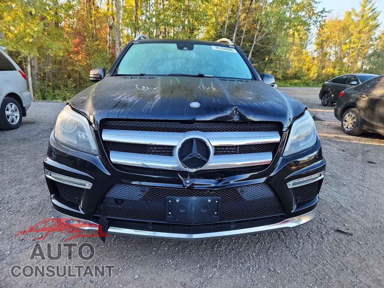 MERCEDES-BENZ GL-CLASS 2014 - 4JGDF2EE7EA275555
