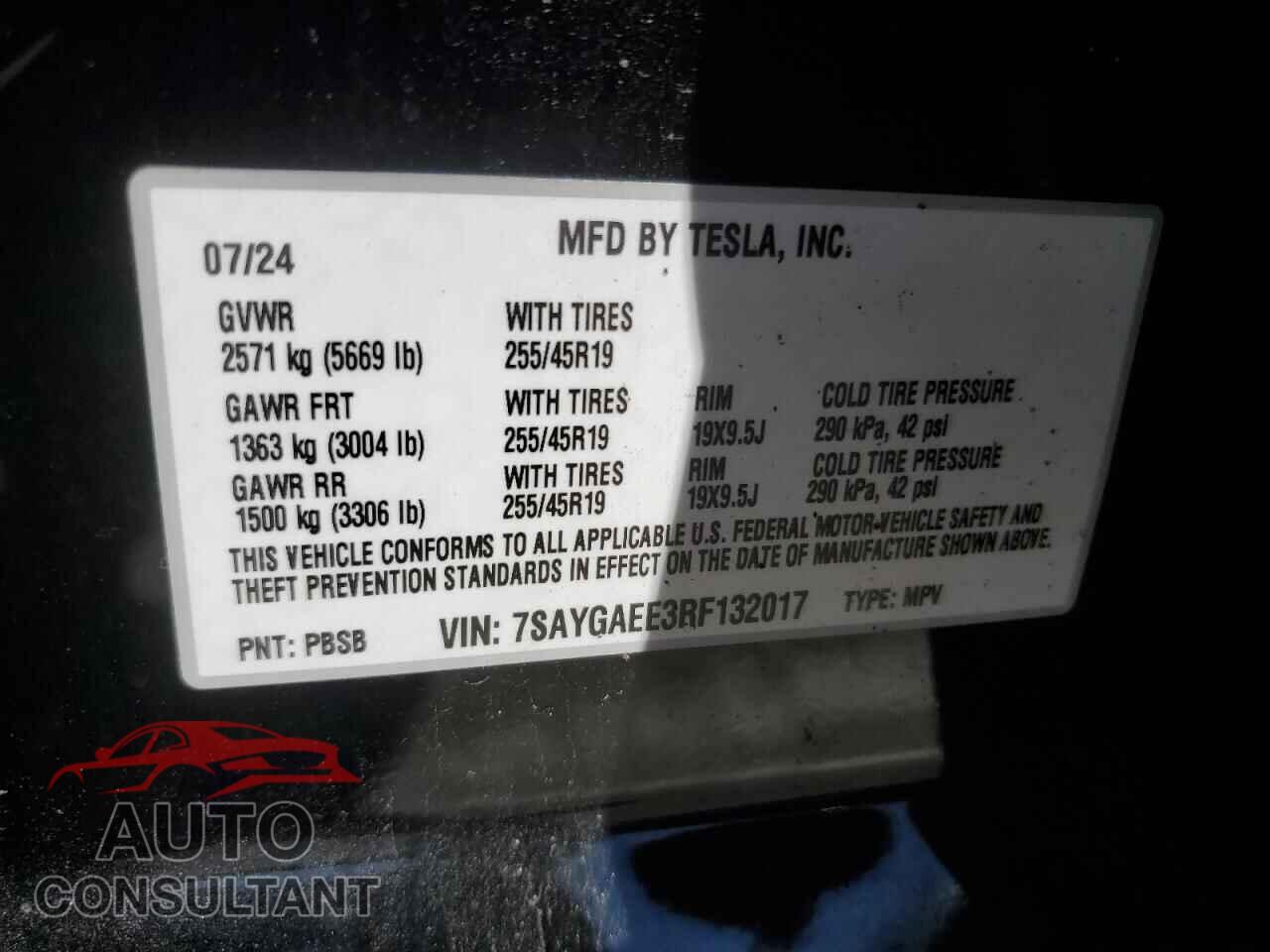 TESLA MODEL Y 2024 - 7SAYGAEE3RF132017