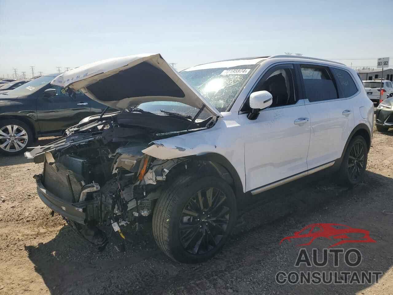 KIA TELLURIDE 2022 - 5XYP5DHCXNG267329