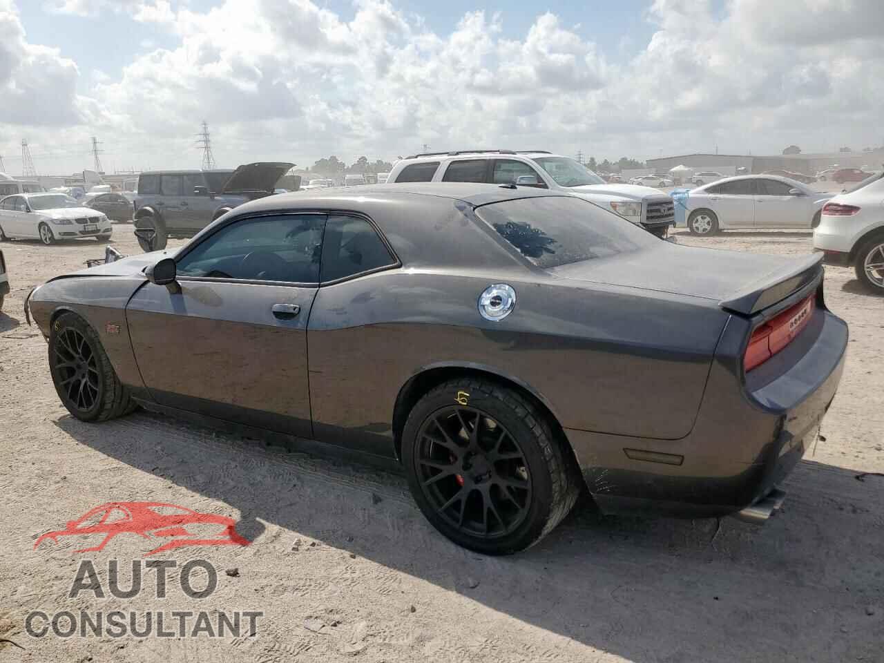 DODGE CHALLENGER 2013 - 2C3CDYCJ3DH604149