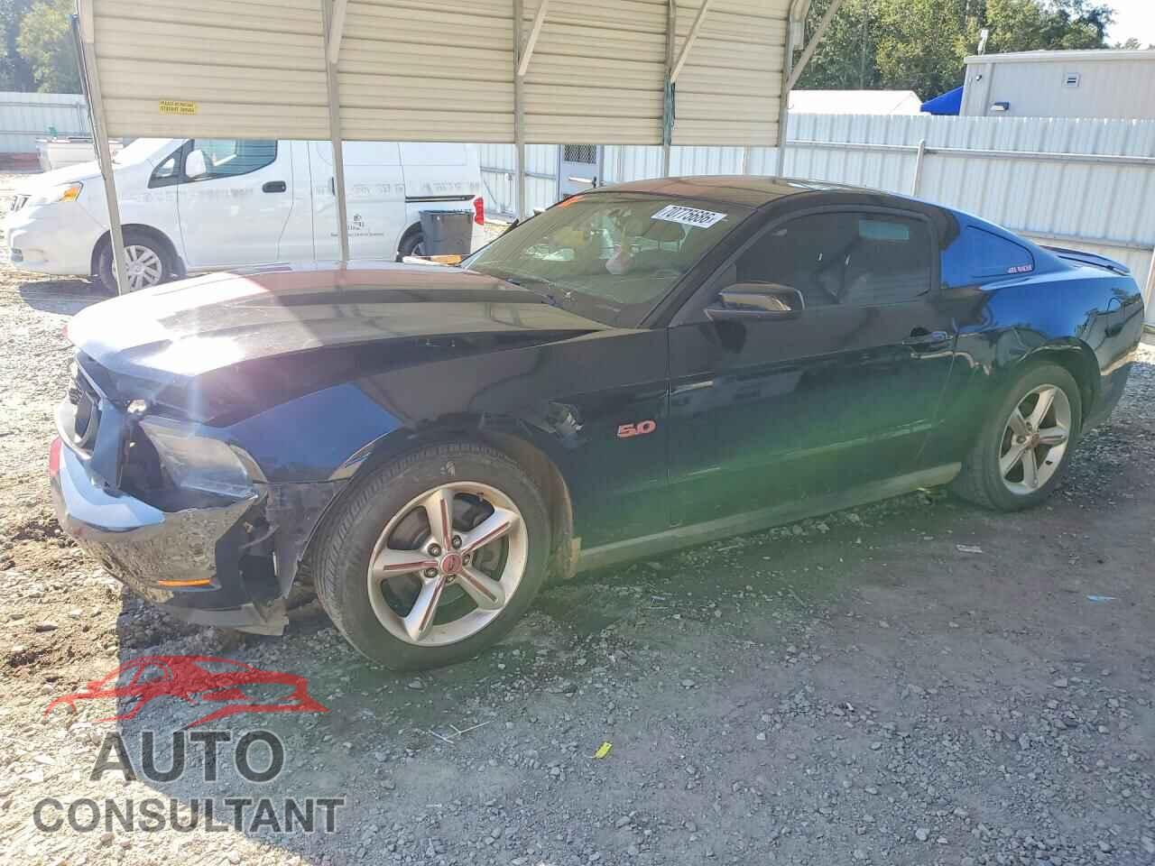 FORD MUSTANG 2011 - 1ZVBP8CF9B5110096