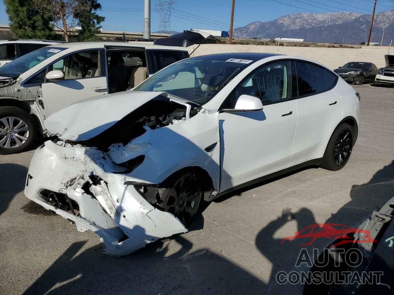 TESLA MODEL Y 2022 - 7SAYGDEE1NF387213