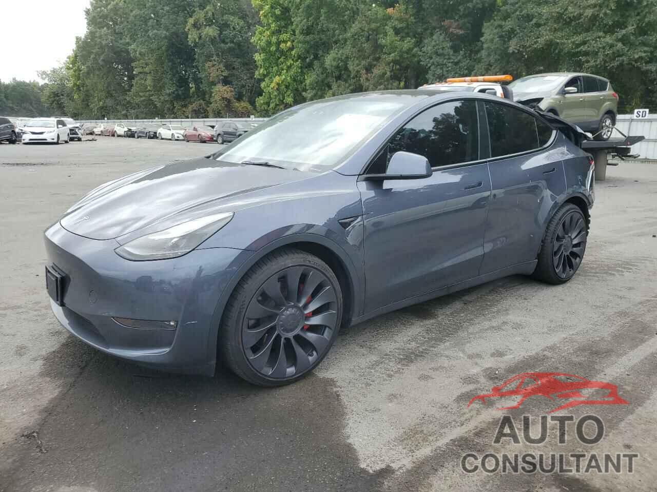 TESLA MODEL Y 2023 - 7SAYGDEF1PF767969