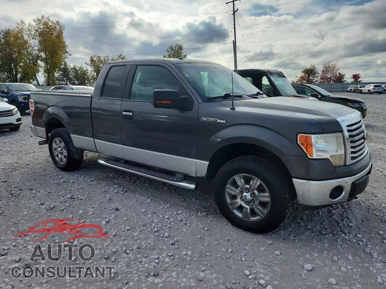 FORD F150 2011 - 1FTFX1EF4BFA39151