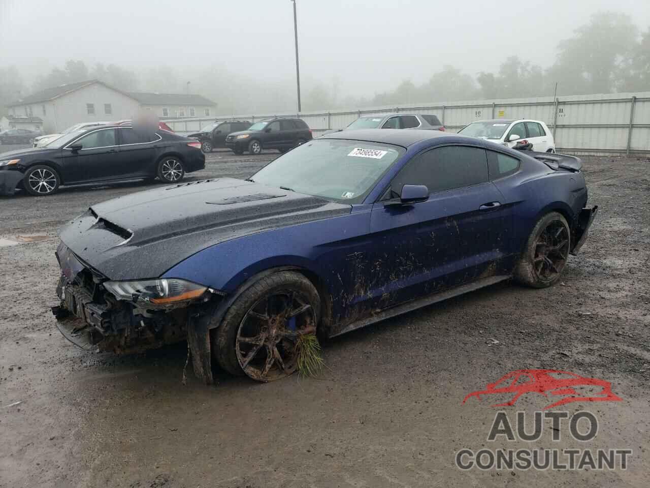 FORD MUSTANG 2019 - 1FA6P8CF4K5152699