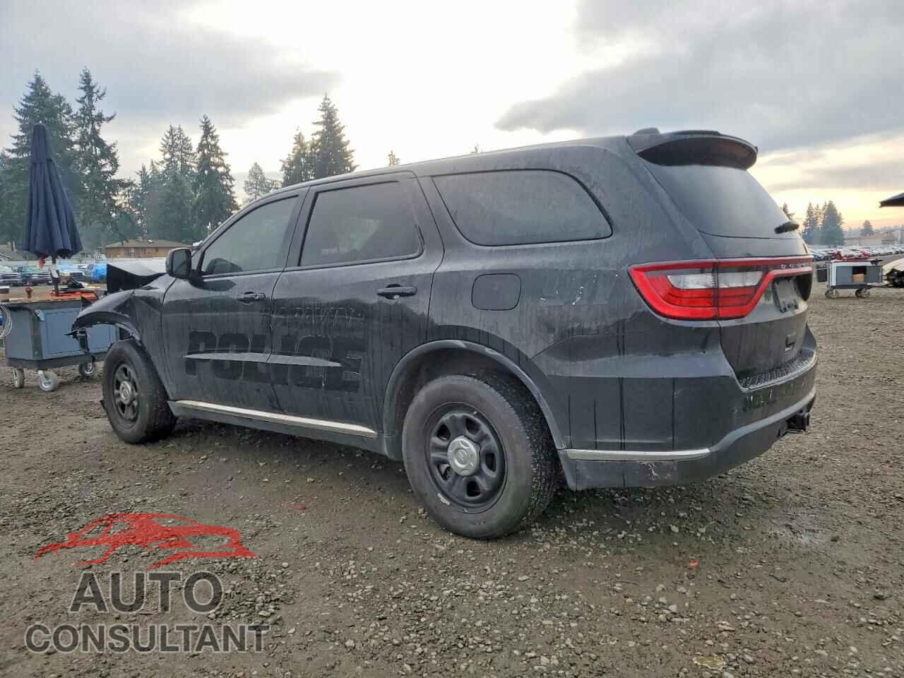 DODGE DURANGO 2024 - 1C4RDJFG2RC204980