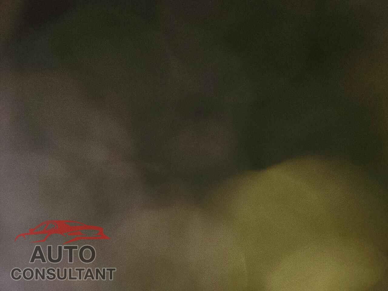 TESLA MODEL 3 2021 - 5YJ3E1EB3MF150335