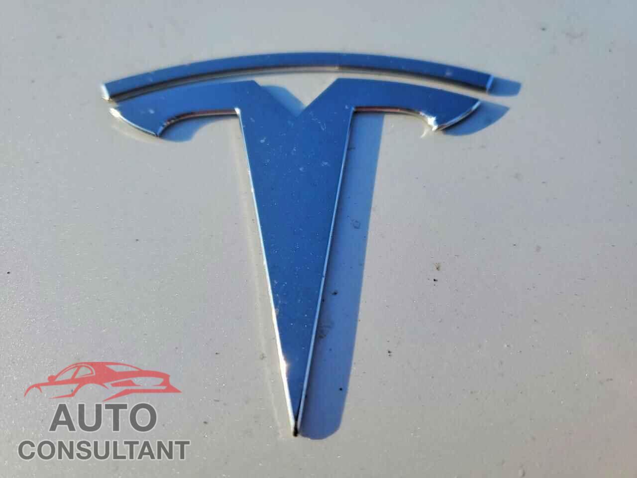 TESLA MODEL Y 2024 - 7SAYGDED3RF092059