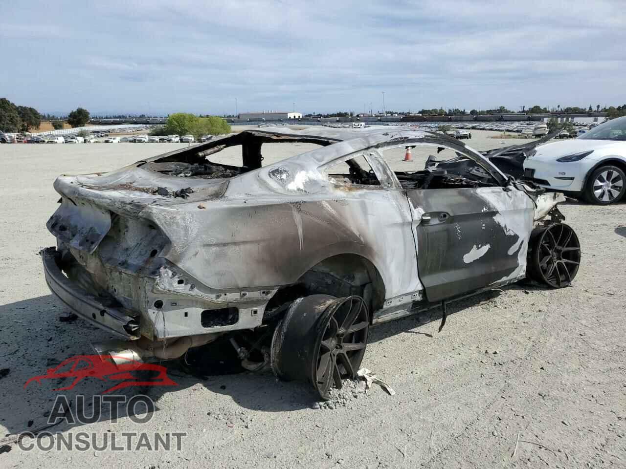 FORD MUSTANG 2020 - 1FA6P8CF0L5130894