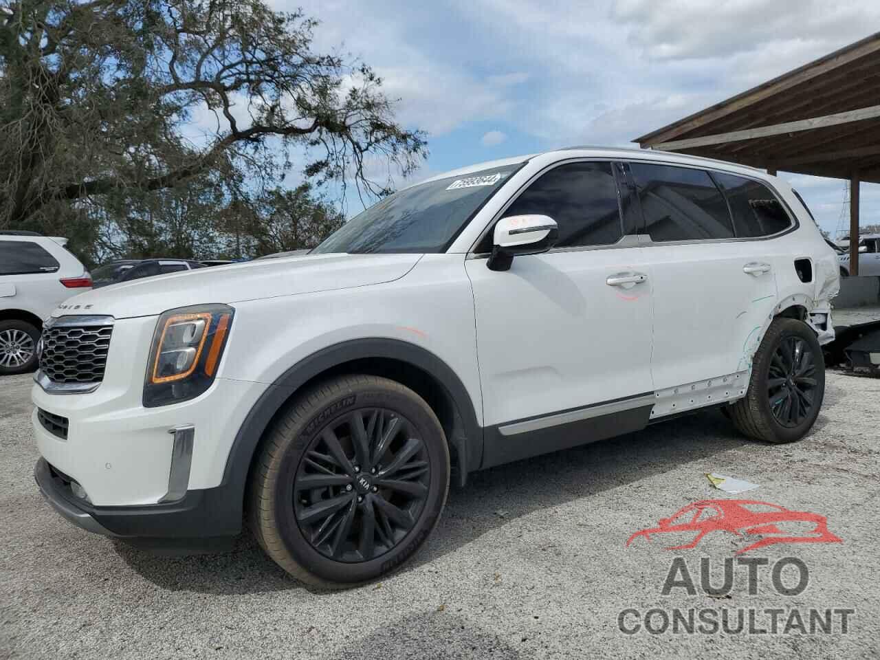 KIA TELLURIDE 2021 - 5XYP5DHC9MG110812