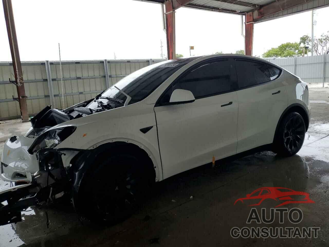 TESLA MODEL Y 2024 - 7SAYGDED0RF034717