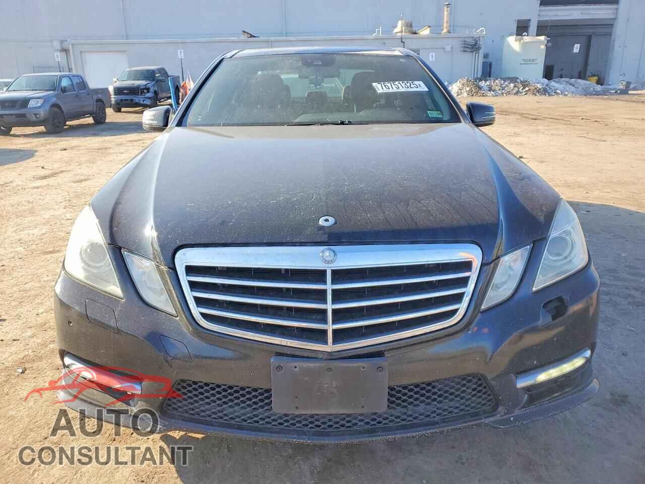 MERCEDES-BENZ E-CLASS 2013 - WDDHF8JB7DA679318
