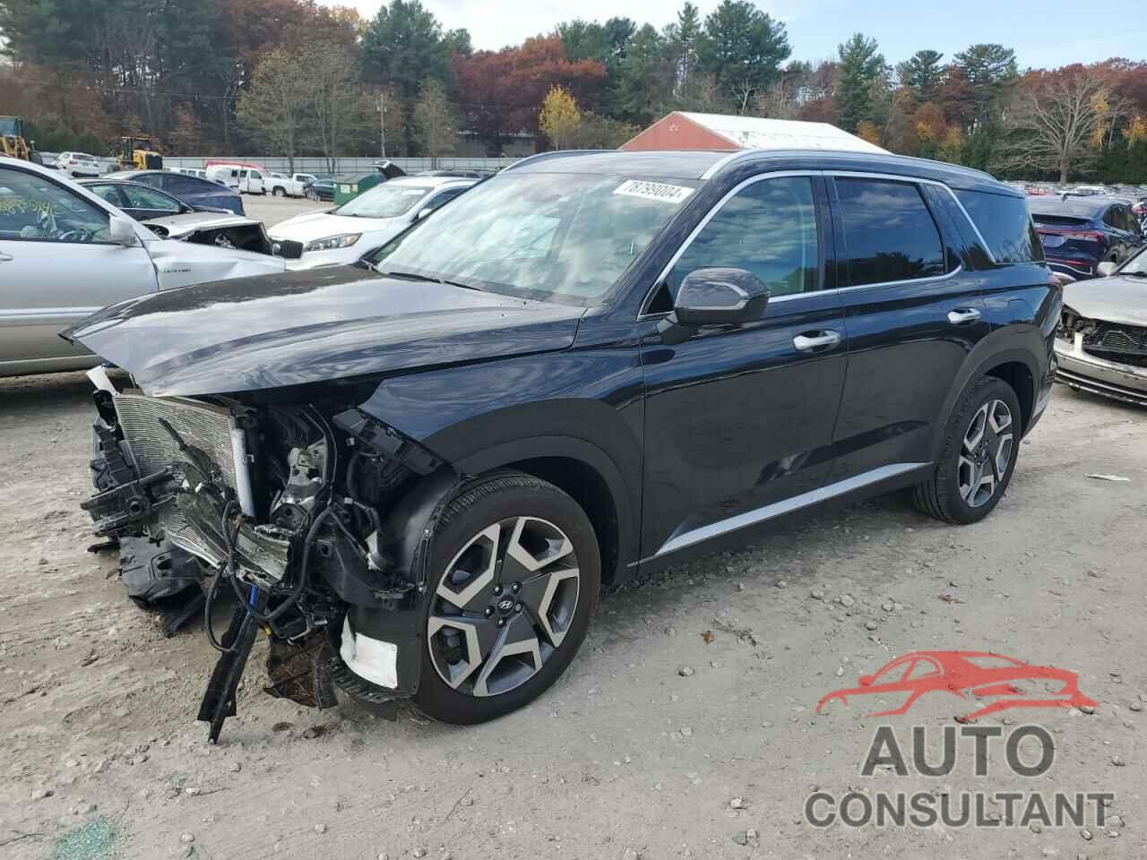 HYUNDAI PALISADE 2024 - KM8R4DGE7RU790094