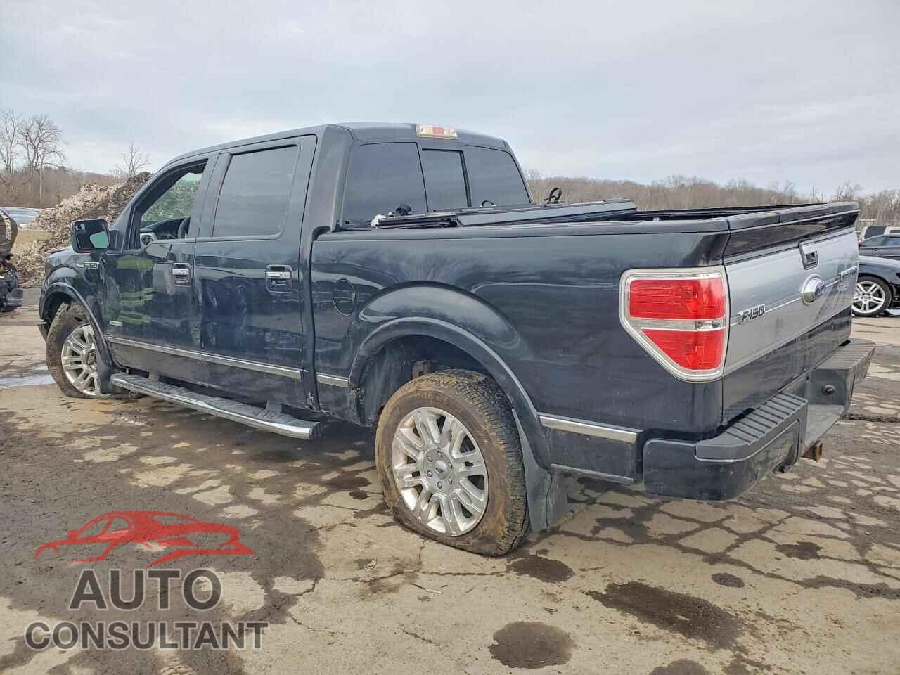 FORD F150 2013 - 1FTFW1ET9DFD05307