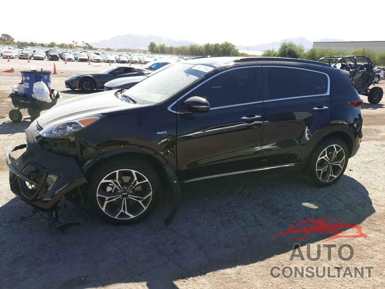 KIA SPORTAGE 2022 - KNDPRCA69N7968668