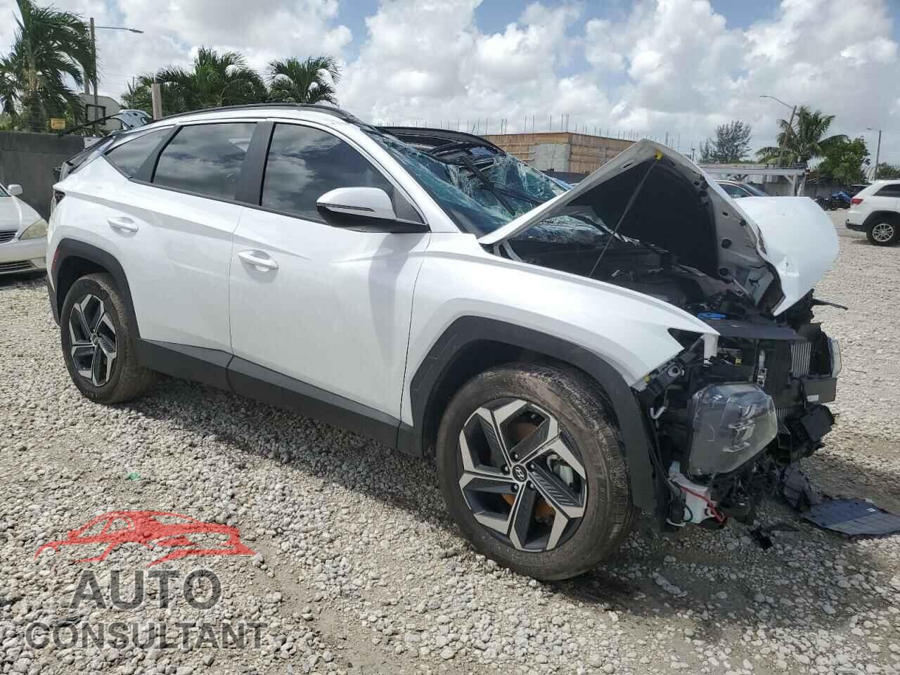 HYUNDAI TUCSON 2024 - KM8JCCD13RU213686