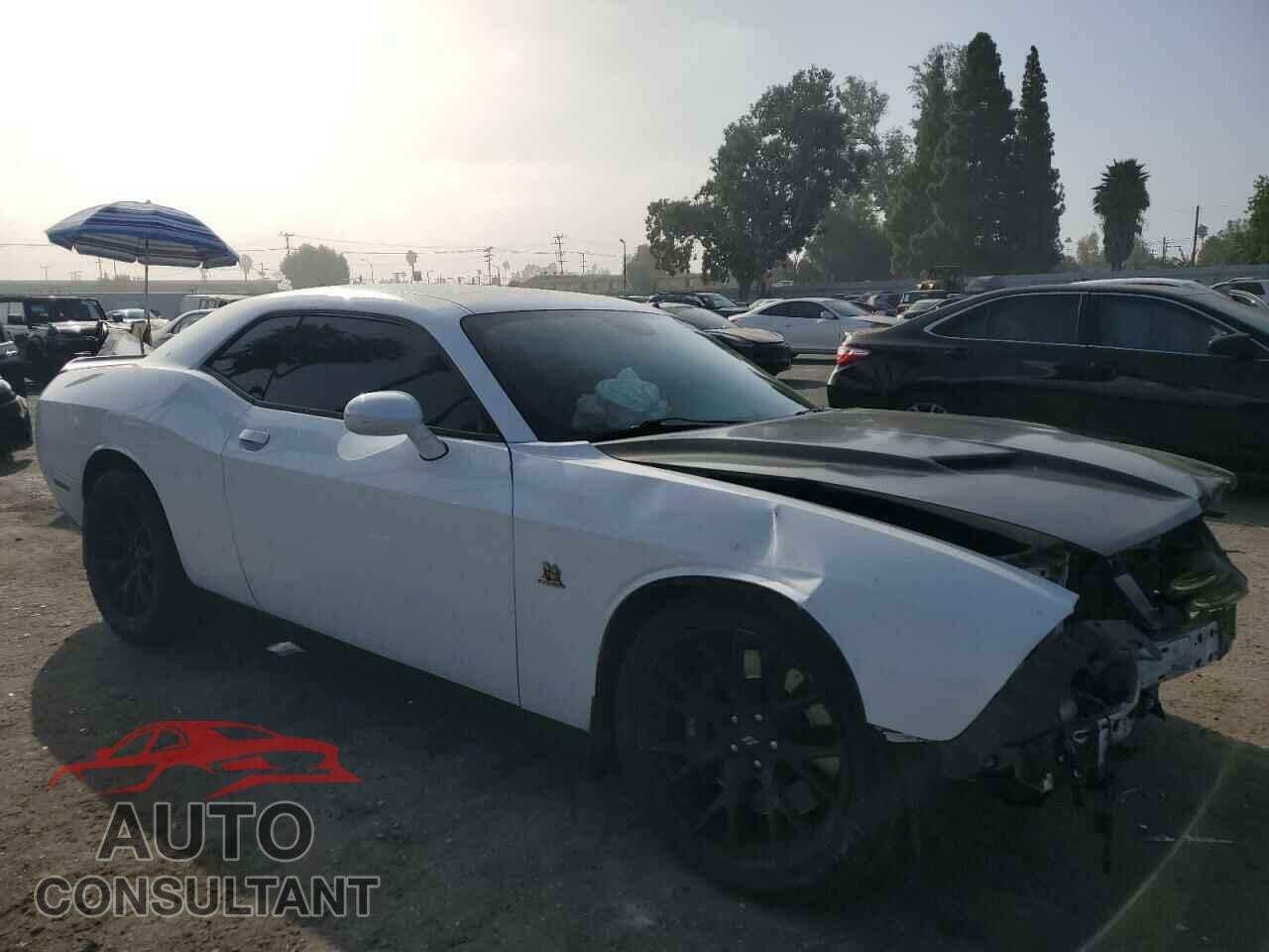 DODGE CHALLENGER 2018 - 2C3CDZFJ2JH334344