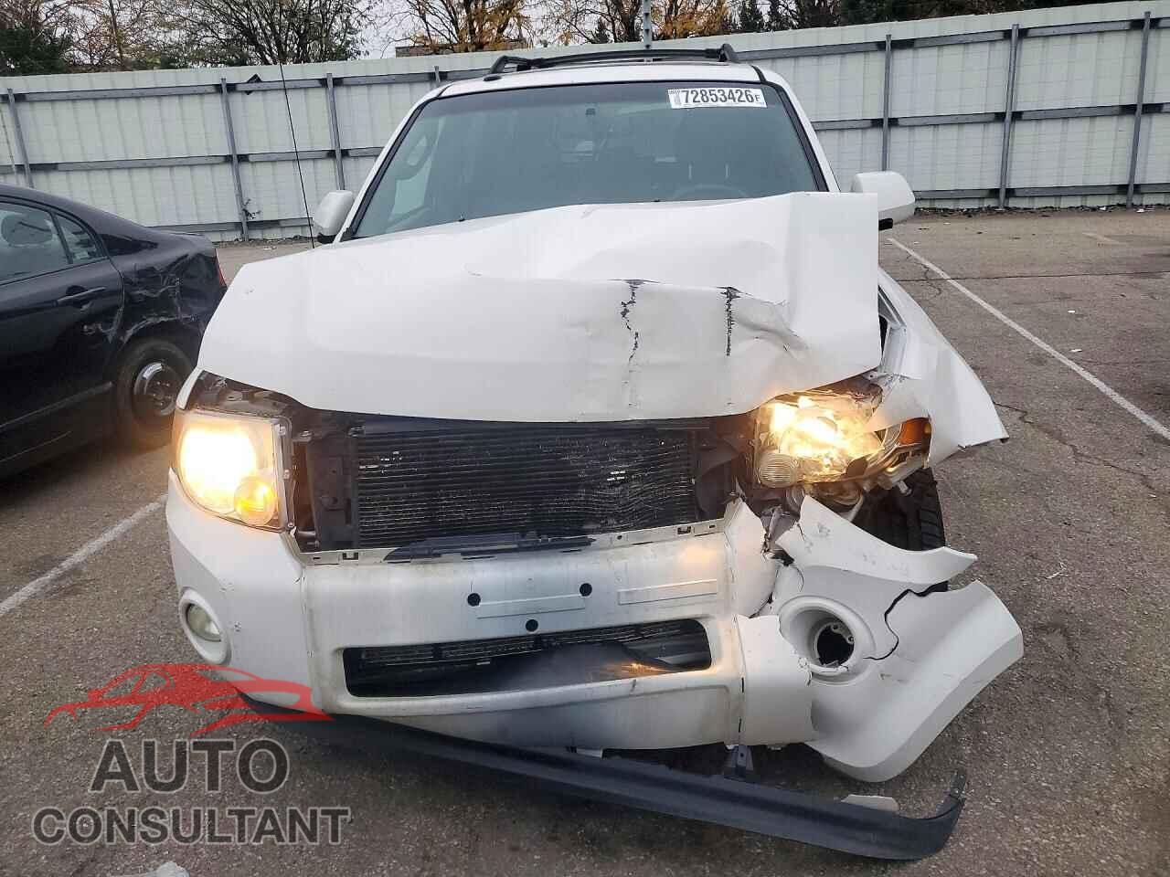 FORD ESCAPE 2011 - 1FMCU0EG6BKB21884