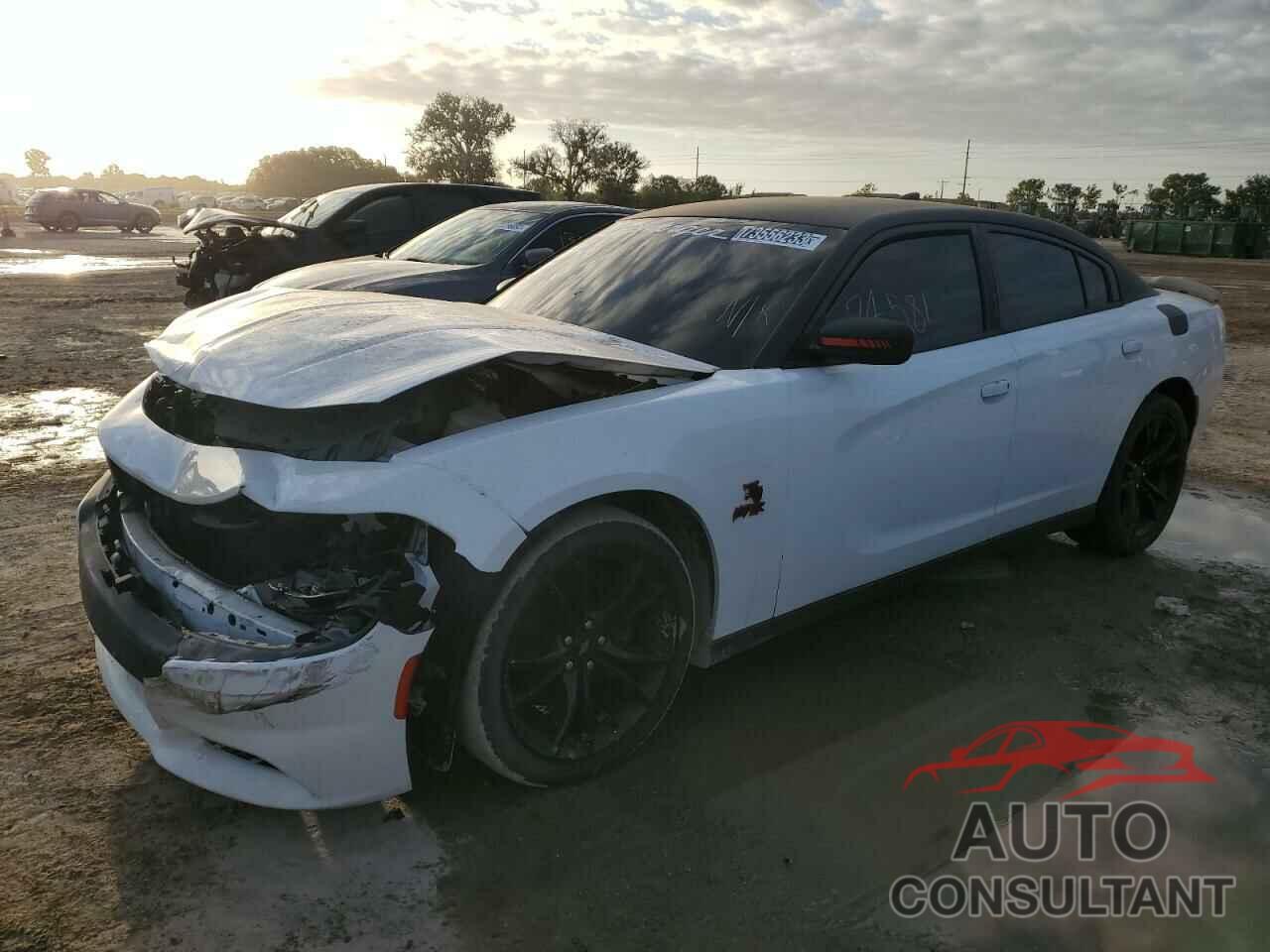 DODGE CHARGER 2017 - 2C3CDXCT7HH585056
