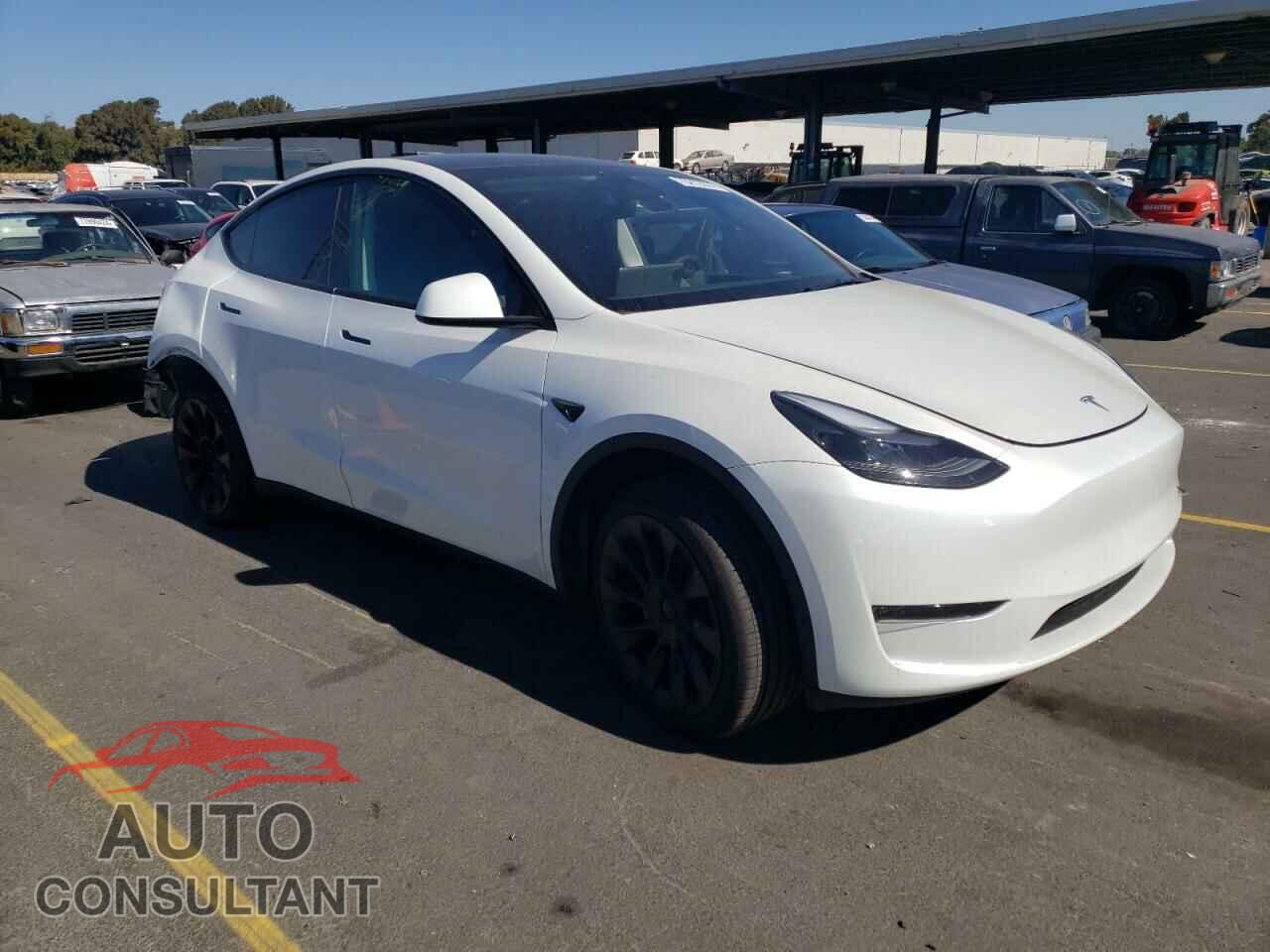 TESLA MODEL Y 2024 - 7SAYGDED5RF080253