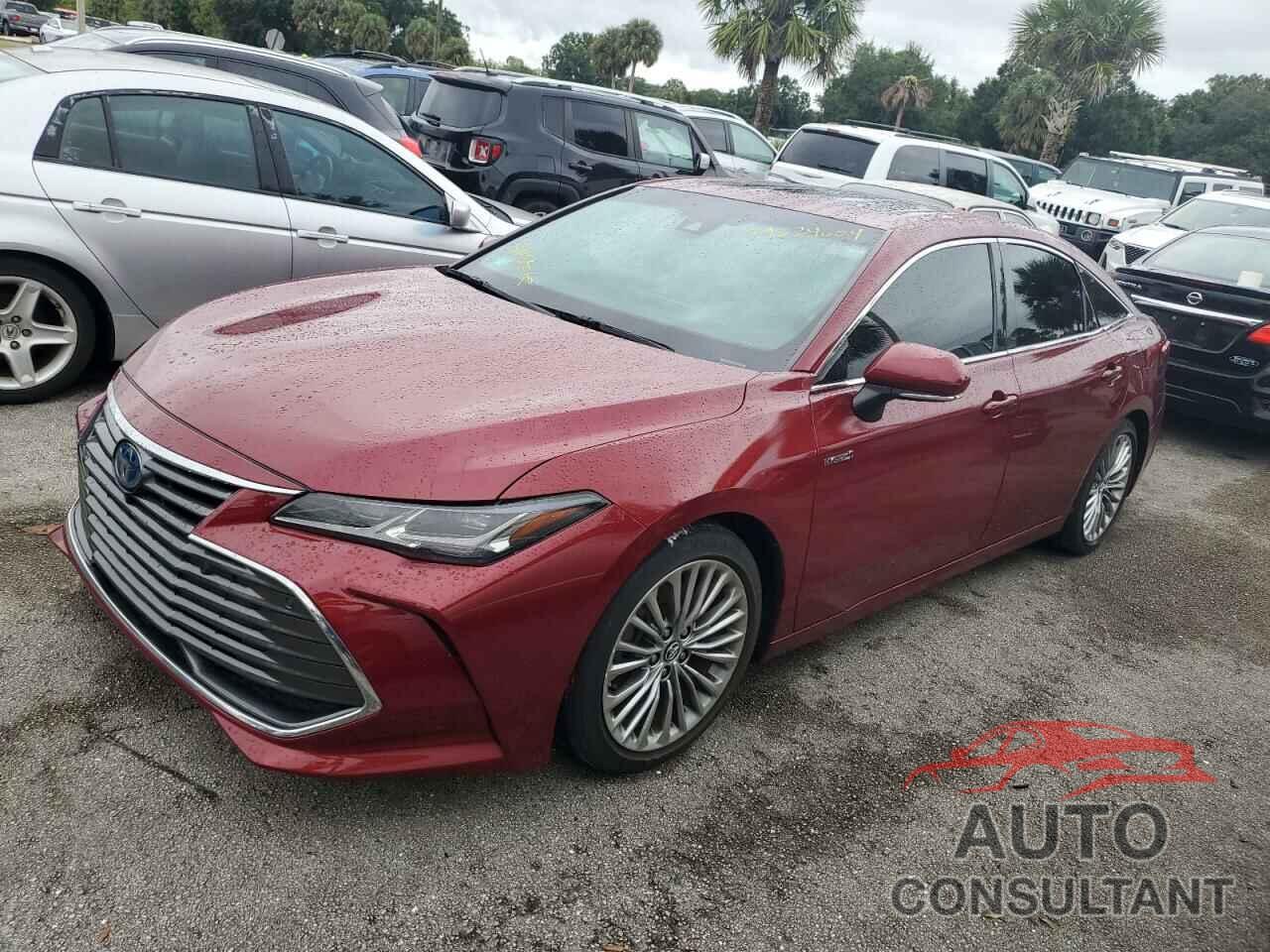 TOYOTA AVALON 2019 - 4T1B21FB7KU010484