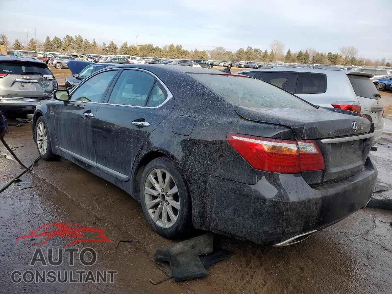 LEXUS LS460 2012 - JTHCL5EF3C5012521
