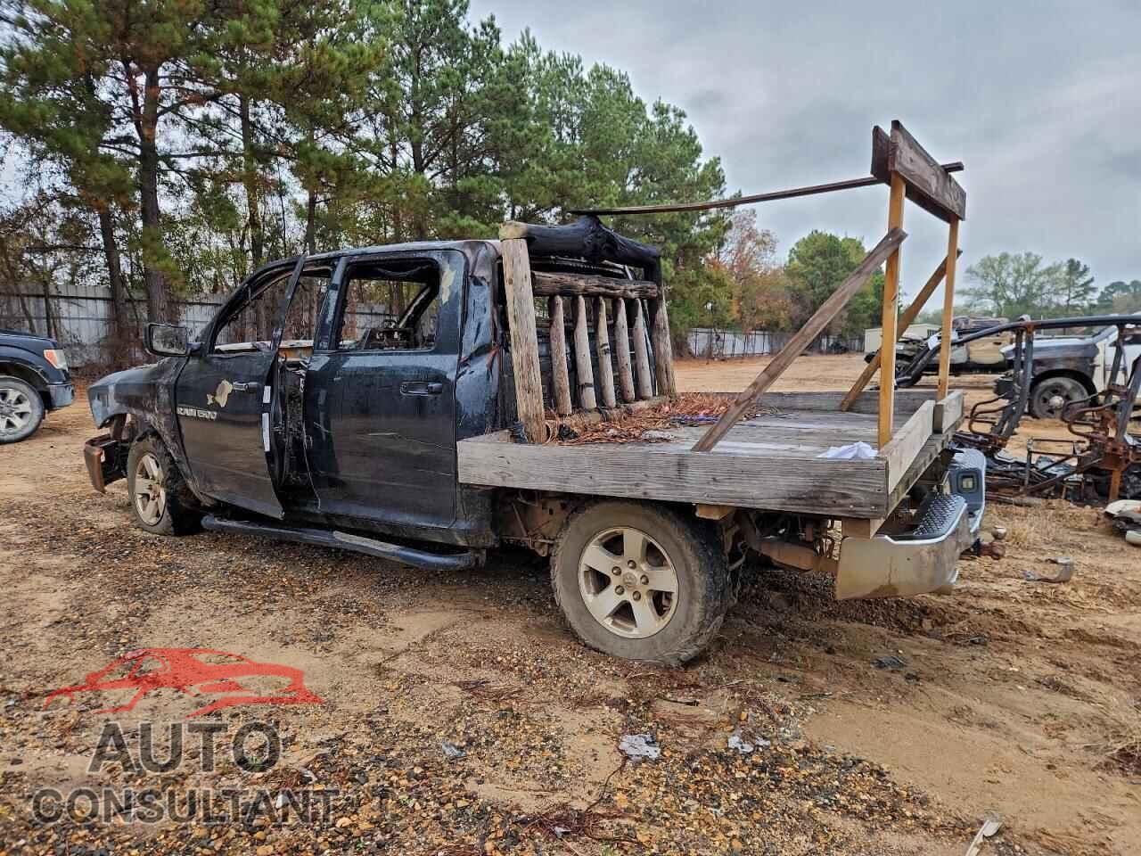DODGE All Models 2011 - 1D7RV1CT9BS598560
