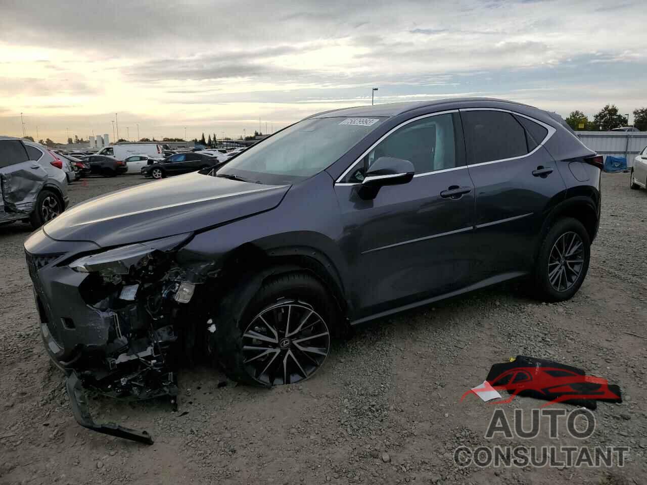 LEXUS NX 250 2023 - 2T2ADCAZ4PC003406
