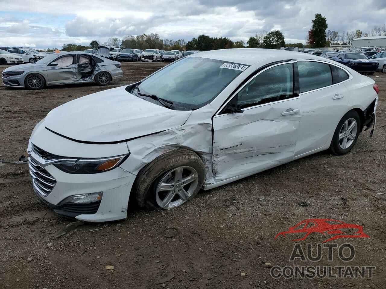 CHEVROLET MALIBU 2022 - 1G1ZB5ST0NF216112