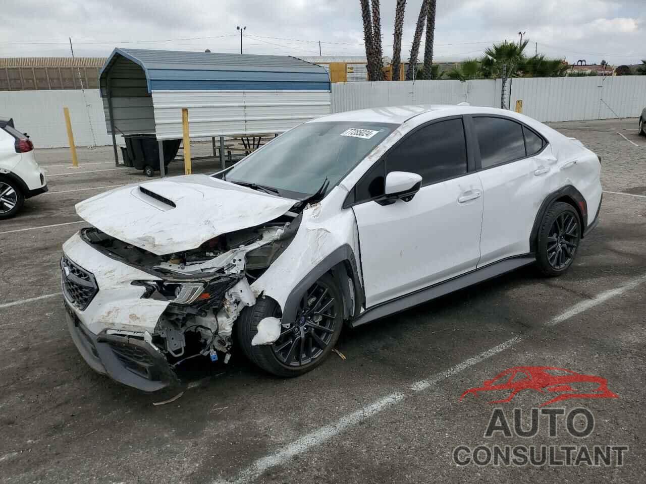 SUBARU WRX 2023 - JF1VBAF66P9821990
